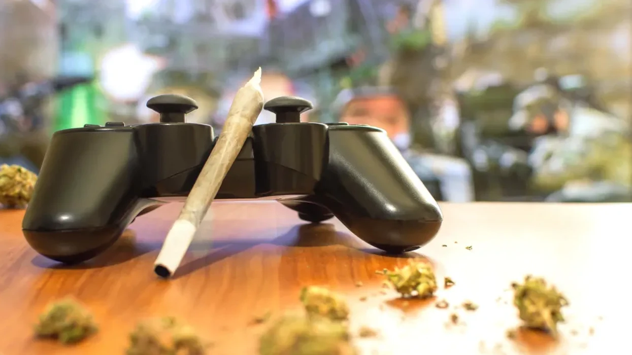 THCA vs THC: An In-Depth Analysis of Their Differences