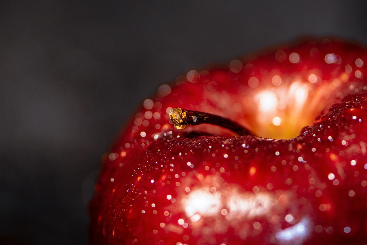 Apple, ripe, red apple — Arthritis in Dogs: Can CBD Help?