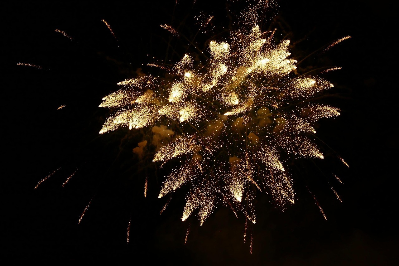 Sylvester, fireworks, new year's day — Everything you need to know about clinical work placements when studying to be a nurse