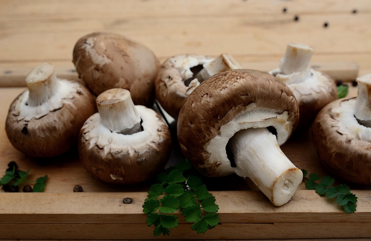 Mushrooms, edible mushrooms, vegetarian — Is It Possible To Buy CBD Oil Online!