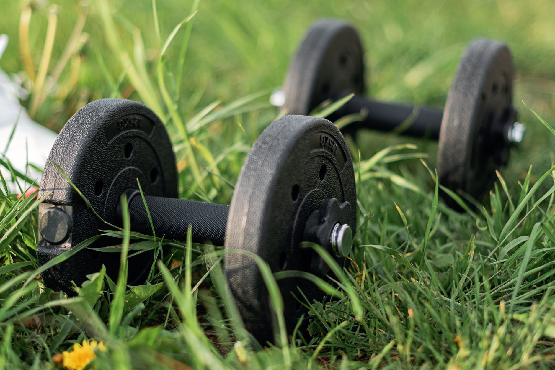 Pair of black dumbbells on lush green grass, ideal for outdoor fitness imagery. — Overview Maintaining the Mental Health of b