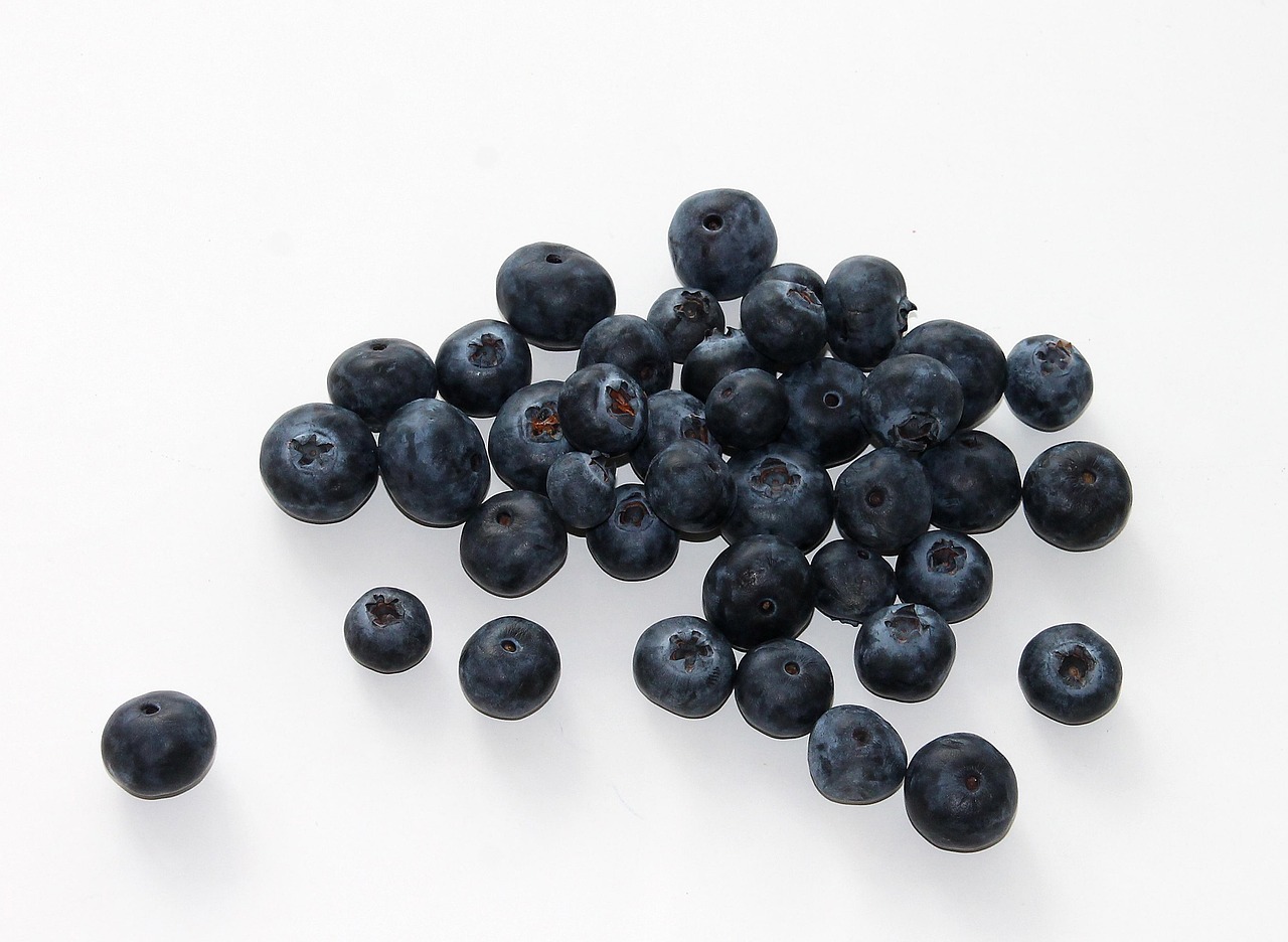 Blueberry, fruit, food — Significant Link of You with Your Maggie