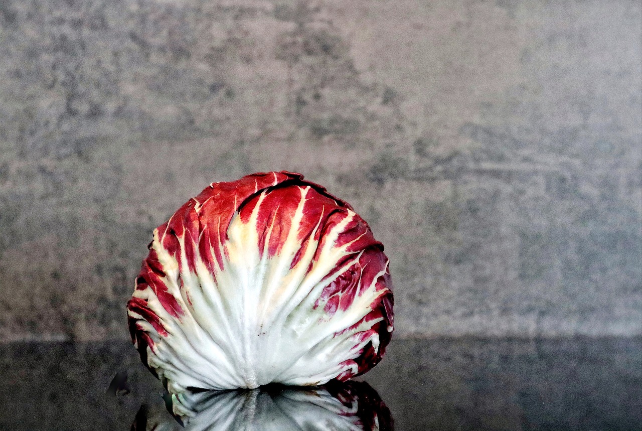Salad, radicchio, food — The Benefits of Dialectical Behaviour Therapy