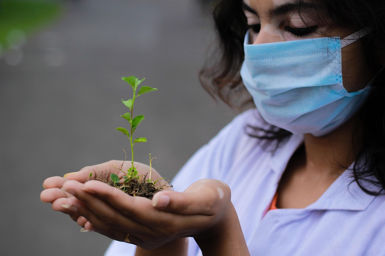 Plant, seedling, researcher — The use of Soberlink for professional alcohol testing