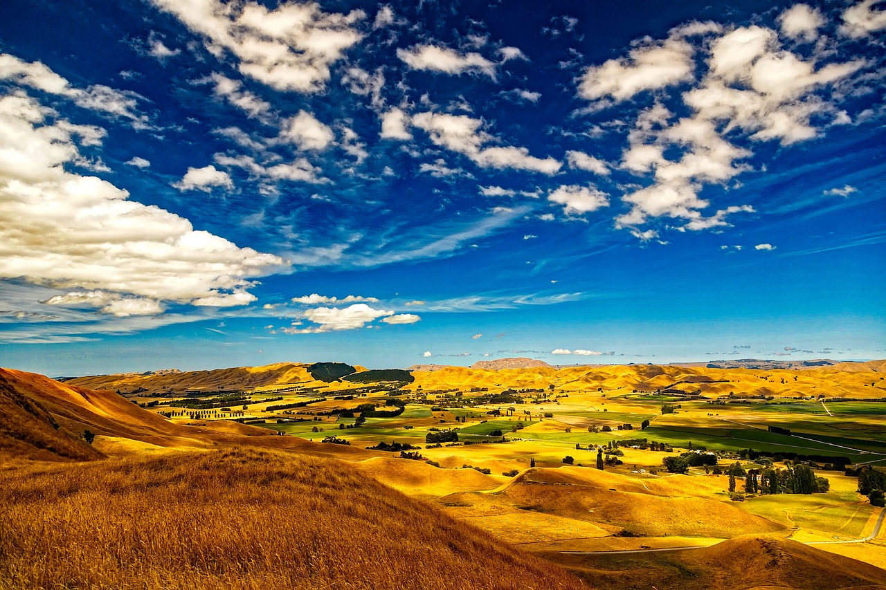 New zealand, sky, clouds — What Are The Key Components And Additional Points To Be Added In A Resume?