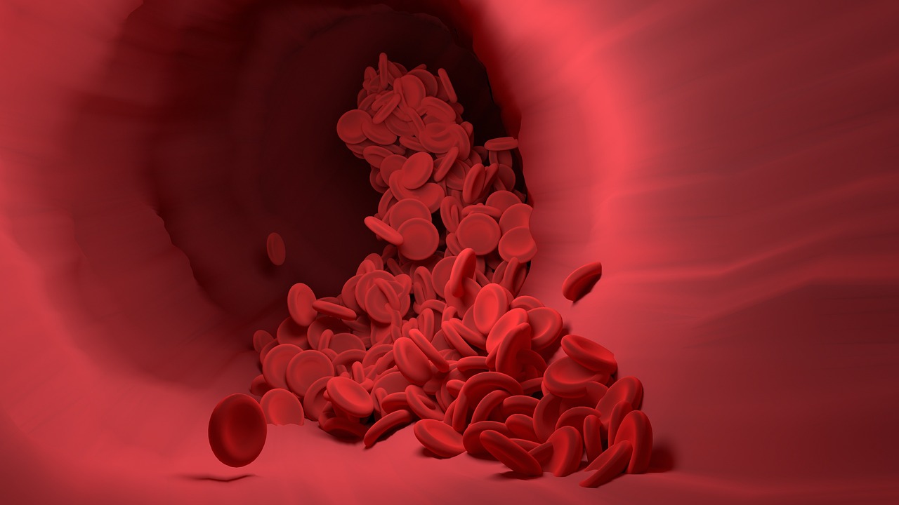 Red blood cells, blood vessel, blood flow — What Is The Various Importance of Digital Pathology?